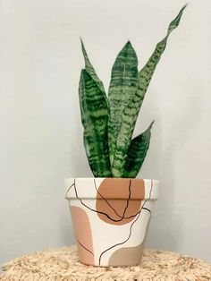 a potted plant sitting on top of a table