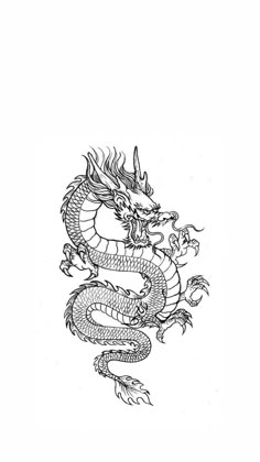 a black and white drawing of a dragon