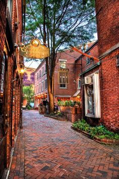 an alley way with brick buildings and trees