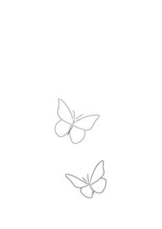 two butterflies flying side by side in the sky