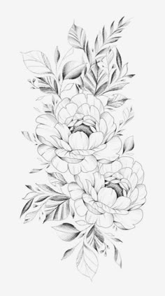 a black and white drawing of flowers with leaves on the bottom half of each flower