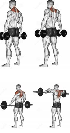 the back view of a man doing exercises with dumbbells and barbells