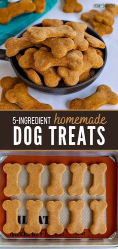 homemade dog treats in tins with the words 5 ingredient homemade dog treats on them