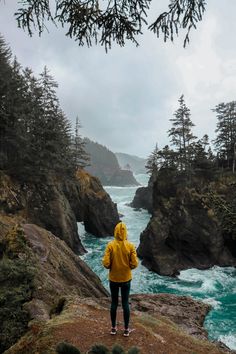 a person standing on top of a cliff next to the ocean with trees around them