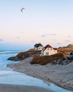 a bird flying over some houses on the beach