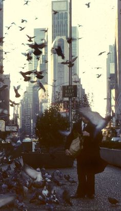 a woman holding an umbrella standing in the middle of a street filled with birds flying around