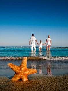 an orange starfish on the beach with two adults and one child in the background