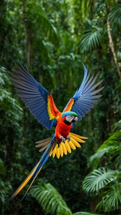 a colorful parrot flying through the air with its wings spread out in front of trees