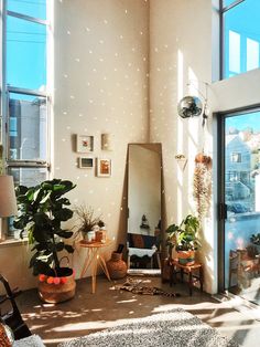 a room filled with lots of potted plants next to a large mirror on the wall