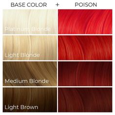 Cherry Red Hair Dye, Arctic Fox Wrath, Red Hair Dye, Cheveux Oranges, Cherry Red Hair, Dyed Red Hair, Sunset Orange