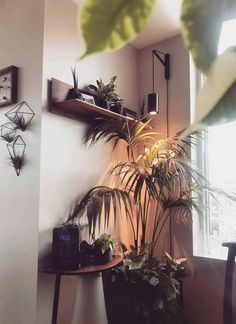 a living room with some plants and a clock on the wall