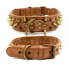 two brown leather collars with spikes on each side and brass studs on the sides