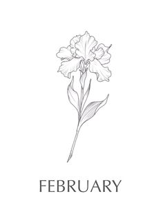 a white flower with the words february written below it