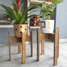 two potted plants sitting on top of wooden stools