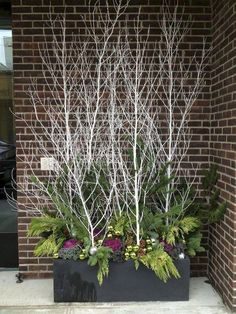 two planters with white branches and green plants in front of a brick building