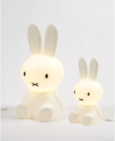 two white rabbits sitting next to each other