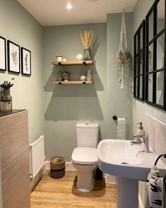 a white toilet sitting in a bathroom next to a sink and wooden shelves on the wall