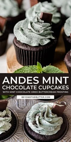 chocolate cupcakes with mint cream frosting on top and the title above it