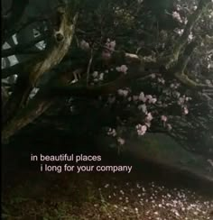 a tree with pink flowers in the background and a quote written on it that says, in beautiful places i long for your company