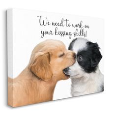 two puppies kissing each other with the words we need to work on your kissing skills