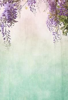 an old paper background with purple flowers and green leaves stock photo - 1387982