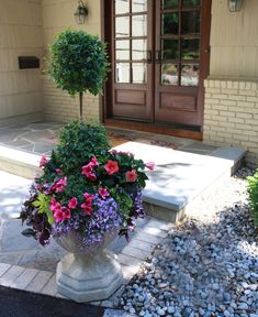 a large potted plant sitting on top of a stone walkway next to a door