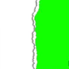 a green background with torn edges