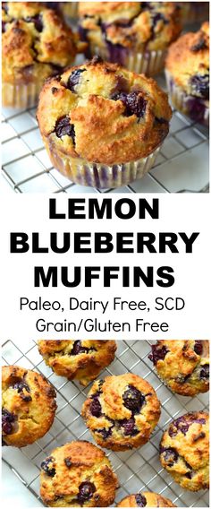 lemon blueberry muffins on a cooling rack with text overlay that reads, lemon blueberry muffins palen dairy free