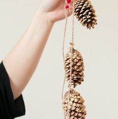 a woman holding pine cones in one hand and another hanging from the other with it's fingers