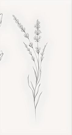 three different types of flowers are shown in this drawing, one is black and white