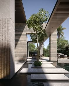 a tree in the middle of a pool next to a building with concrete walls and columns