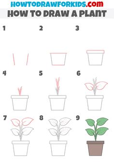 how to draw a potted plant step by step instructions for kids and beginners