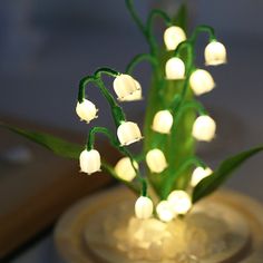 small white flowers with green stems are in a glass vase filled with water and lights