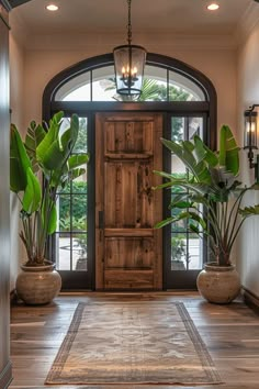 a wooden door with two potted plants in front of it and a rug on the floor