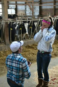 a woman standing next to a man on a cell phone in front of some cows