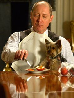 a man sitting at a table with a cat on his lap and eating food from a plate