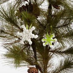 a pine cone and some white flowers on a tree