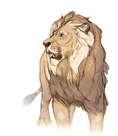 a drawing of a lion standing in front of a white background and looking at the camera