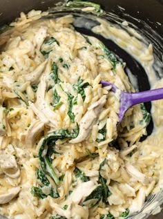 pasta with chicken and spinach in a pot