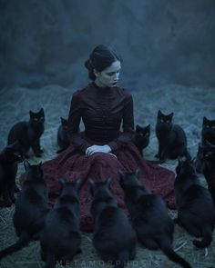 a woman in a red dress surrounded by black cats on the ground and looking at her