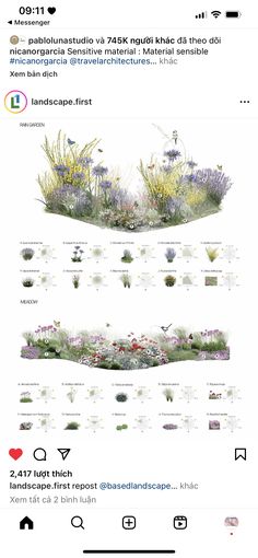 an image of some flowers and plants in the same place on twitter, with one page showing