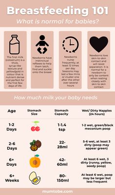 the breastfeeding diet info sheet is shown with information about breastfeeding and how to