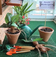 potted plants and gardening utensils on artificial turf