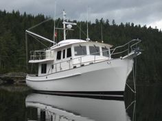 a white boat floating on top of a body of water next to a lush green forest