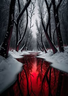 a red pond surrounded by trees and snow covered ground with the reflection of it in the water