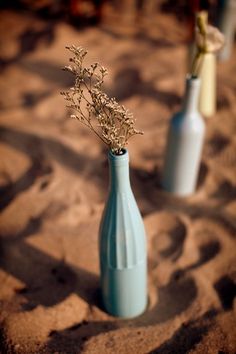 two blue vases sitting on top of a sandy beach next to each other with dried flowers in them