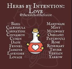 Love herbs Herbs For Love, Herbal Witch, Magickal Herbs, Witch Herbs, Witch Spirituality, Magic Spell Book, Grimoire Book, Magic Herbs, Magical Herbs