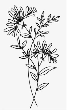 a black and white drawing of some flowers