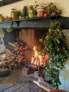 a fire place with logs and potted plants