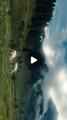 an aerial view of clouds and trees in the distance, with a video player looking at them